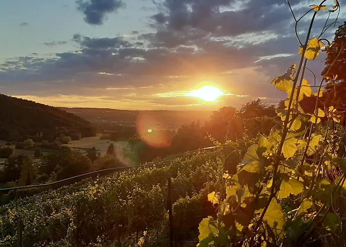 Apartment Vineyard-suites By Interhome