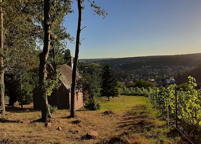 Vineyard-suites By Interhome Apartment